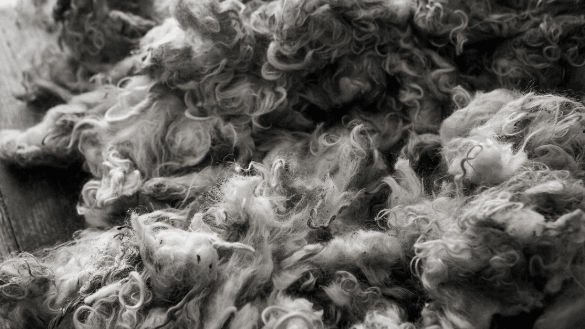 Photo paysage n&b — toison de mohair